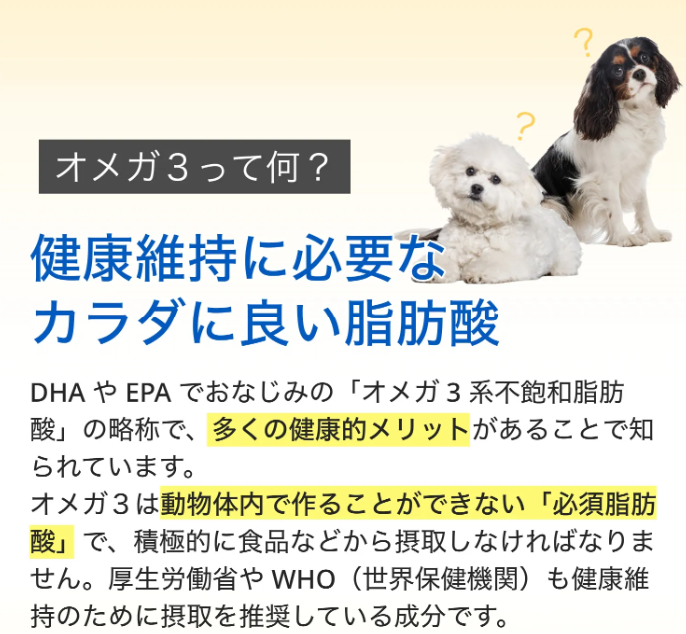 クジラオイル 100g