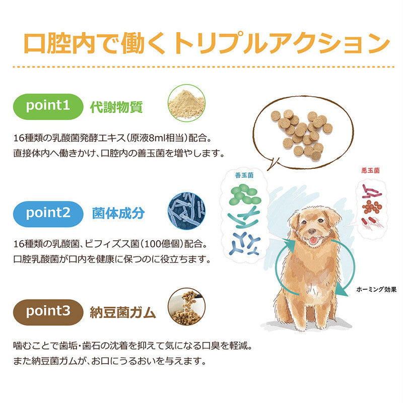PREMEAL デンタルコート お徳用300粒