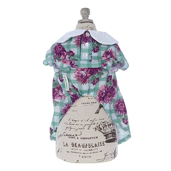 LAURA ASHLEY コットンレース襟ワンピース