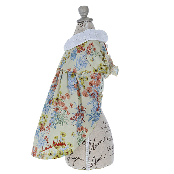 LAURA ASHLEY コットンレース襟ワンピース
