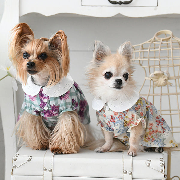 LAURA ASHLEY コットンレース襟ワンピース