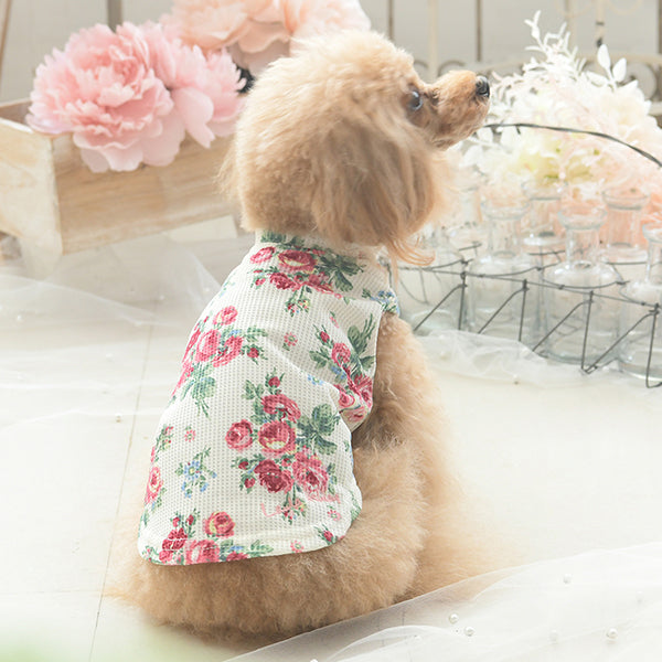 LAURA ASHLEY ワッフルタンクトップ