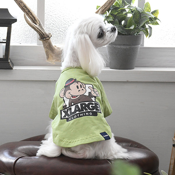【COOL】【虫よけ】XLARGE キースTシャツ