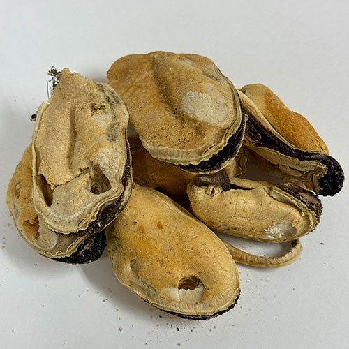 WOOF グリーンリップドマッスル 緑イ貝 50g