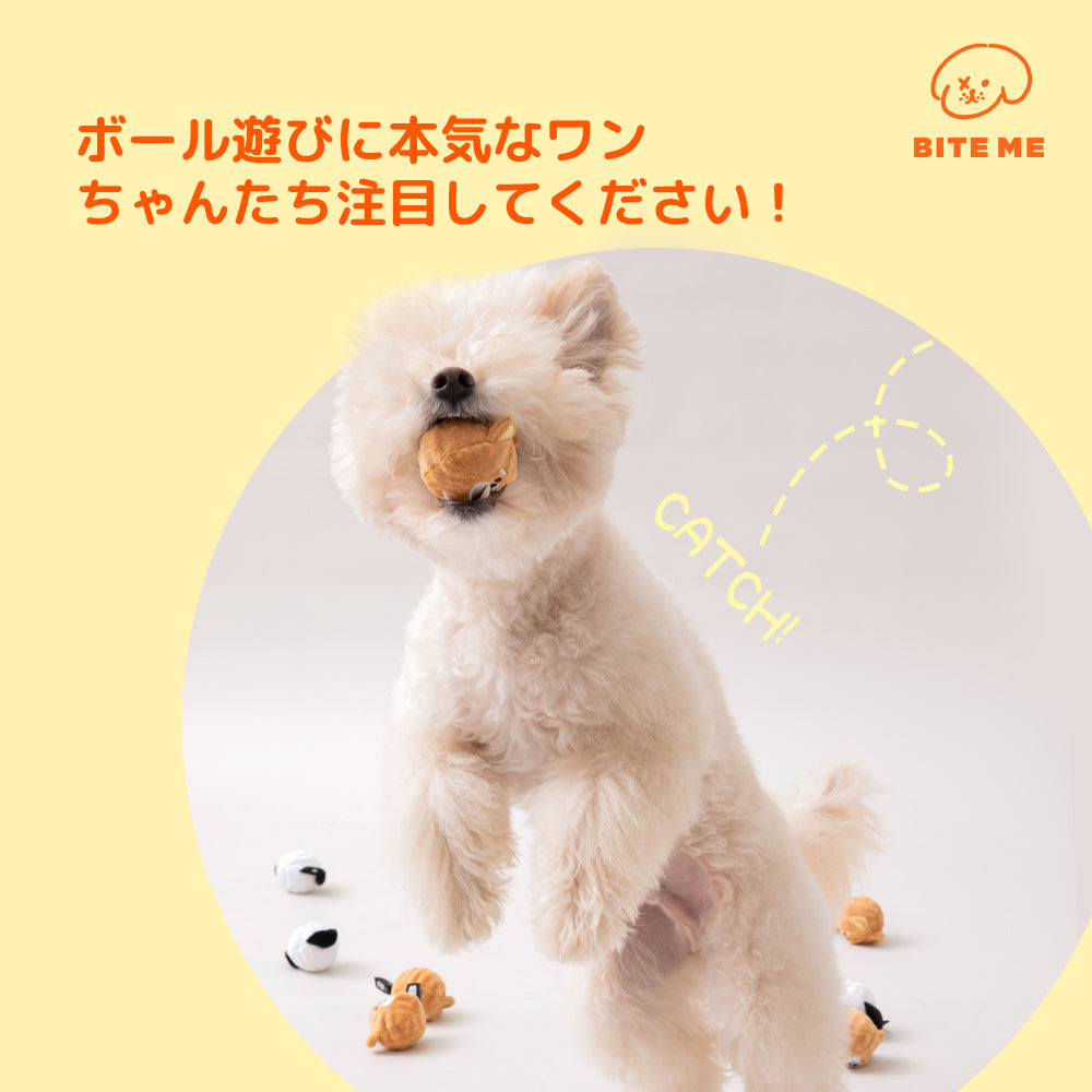 BITE ME 犬のボールおもちゃ (2個入り)