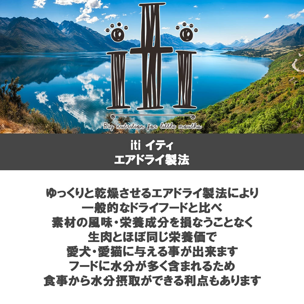 イティ ドッグトリーツ チキンジャーキー 口腔ケア 100g
