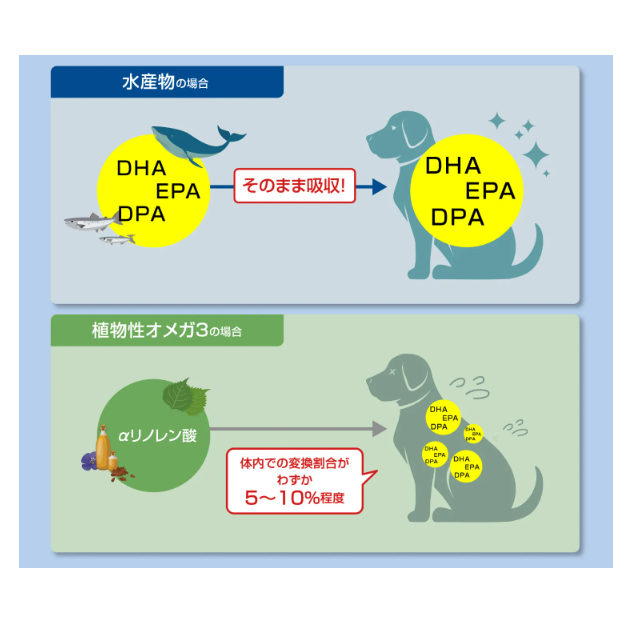 クジラオイル 100g