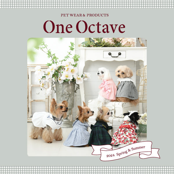 ONE OCTAVE ミディカラーワンピ