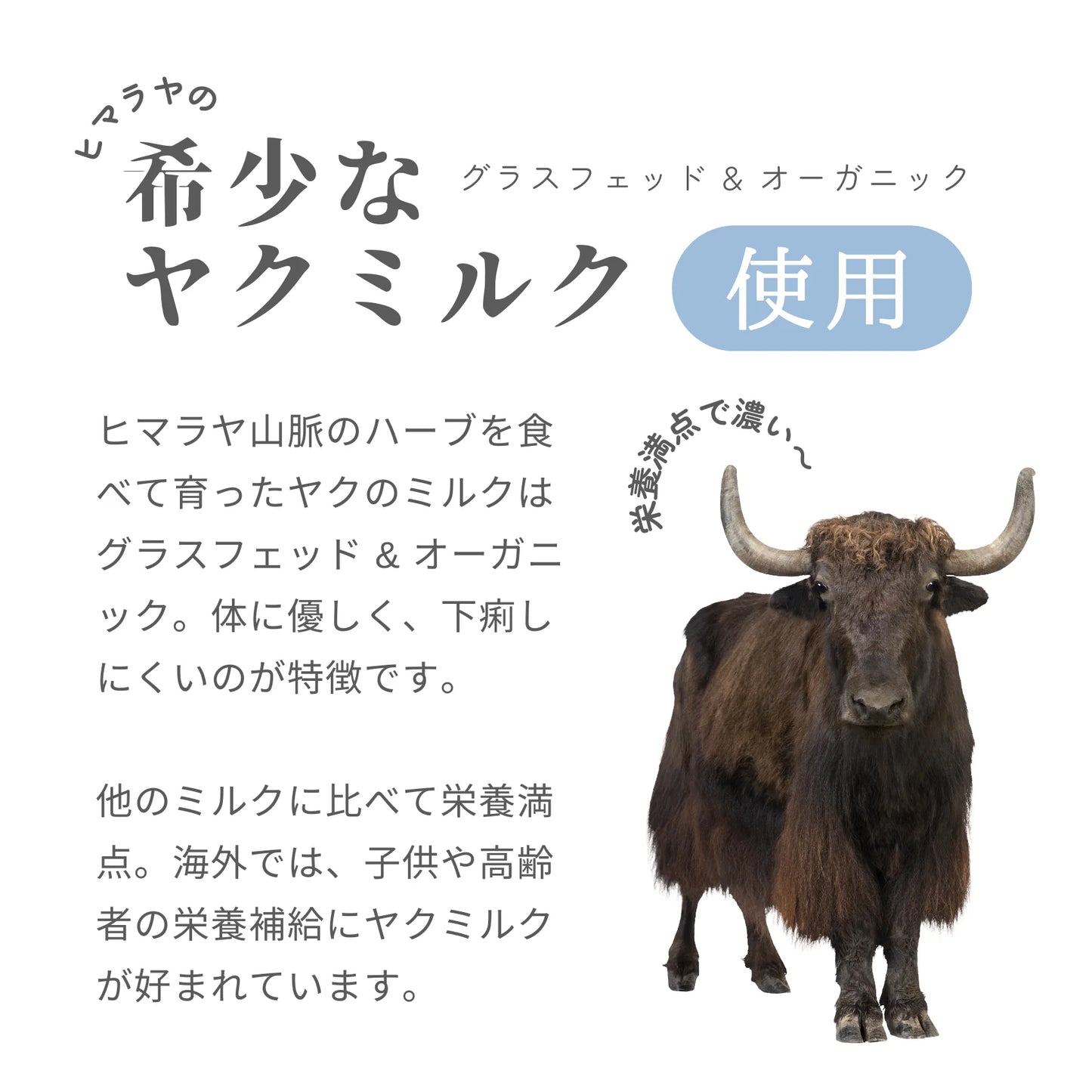 ヤクミルクチーズ(オリジナルパッケージ) Mサイズ