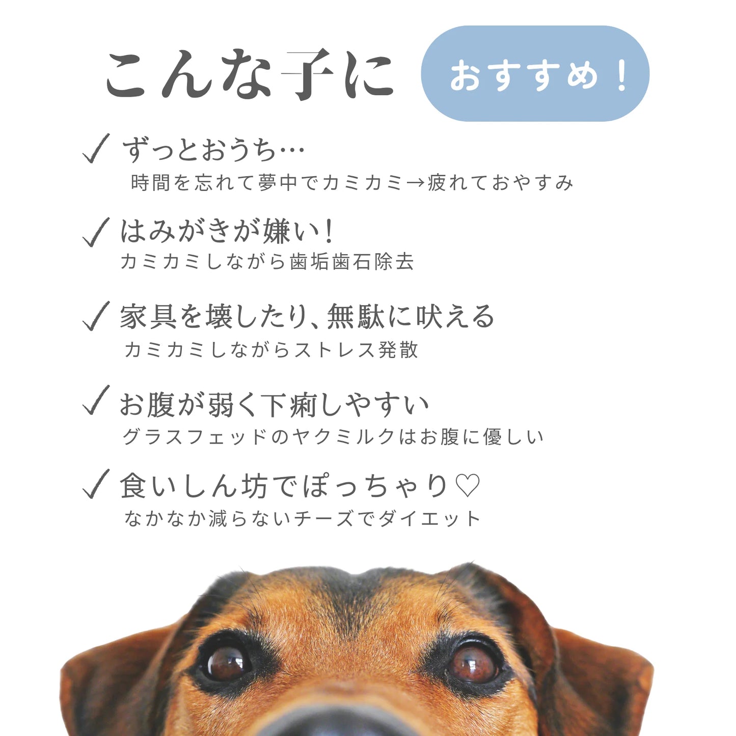 ヤクミルクチーズ(オリジナルパッケージ) Mサイズ