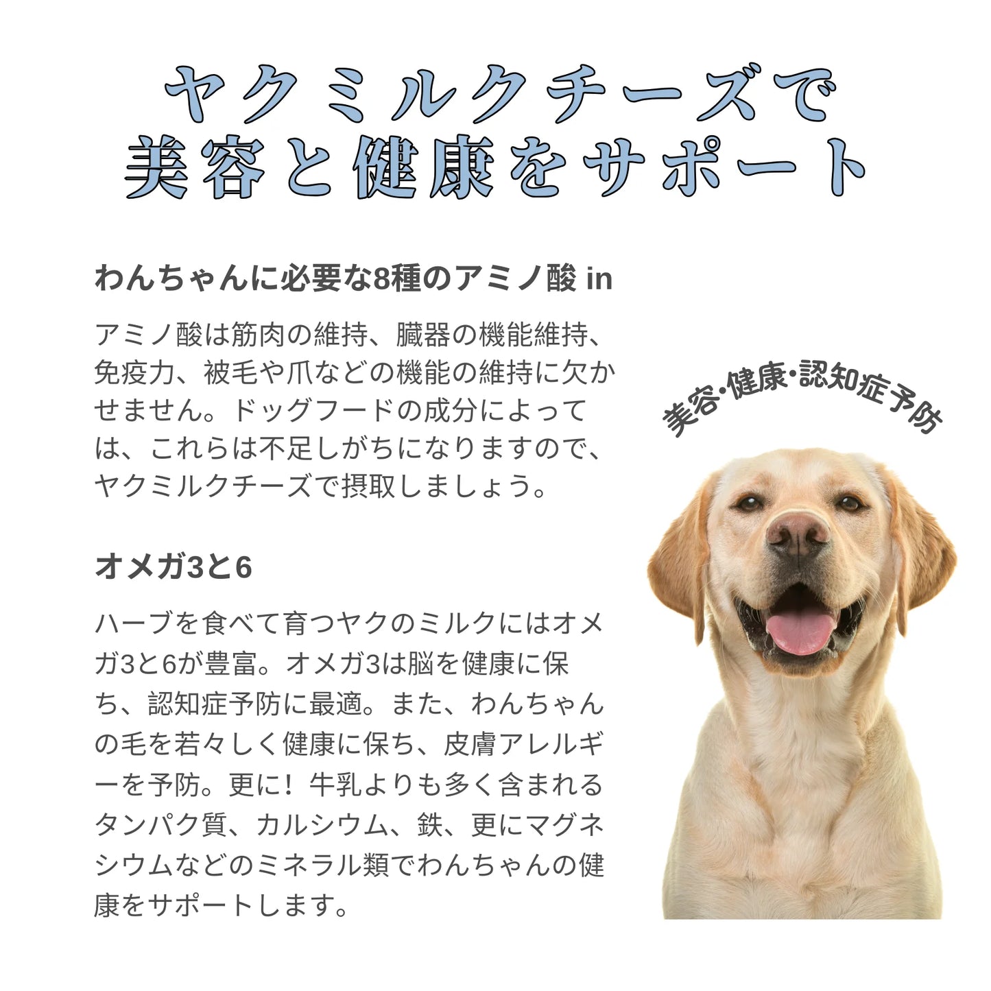 ヤクミルクチーズ(オリジナルパッケージ) Mサイズ