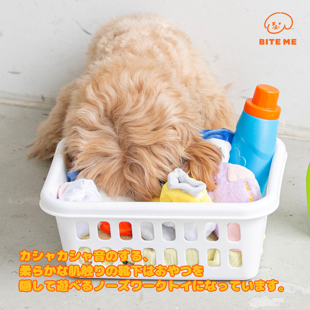 BITE ME 靴下おもちゃセット(3枚セット)