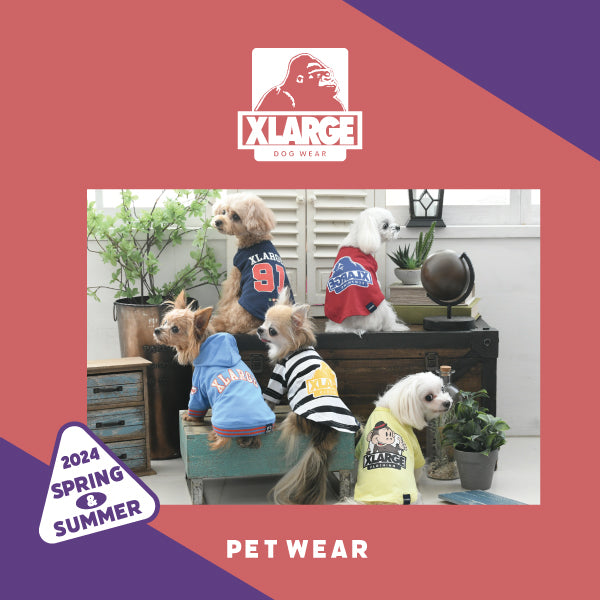 【COOL】【虫よけ】XLARGE OGボーダーTシャツ