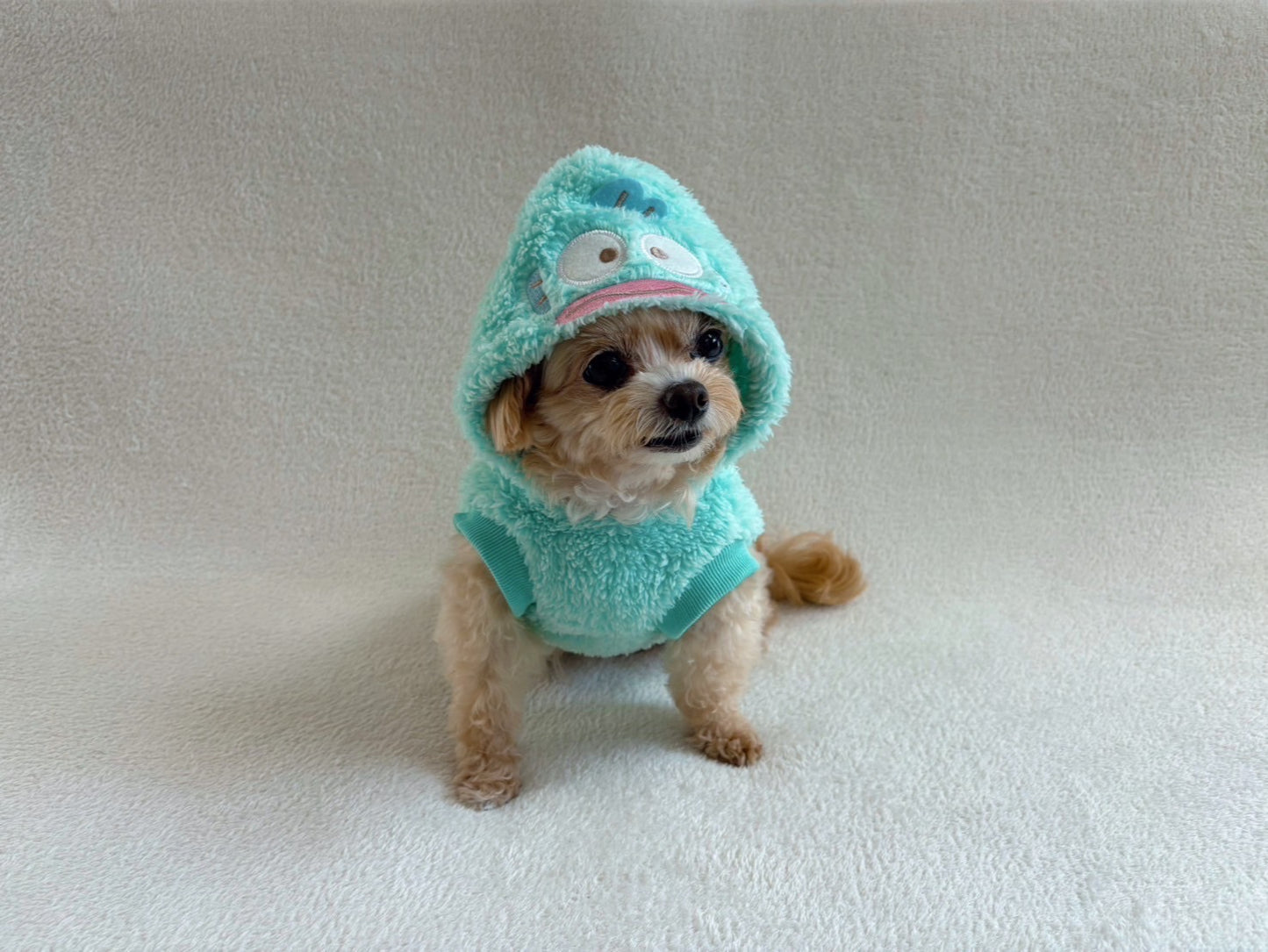 ハンギョドン着ぐるみウェア