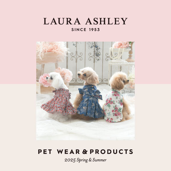 LAURA ASHLEY　リボンワンピース