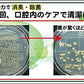 オゾニールD 口臭・口腔内お悩みケア 30ml