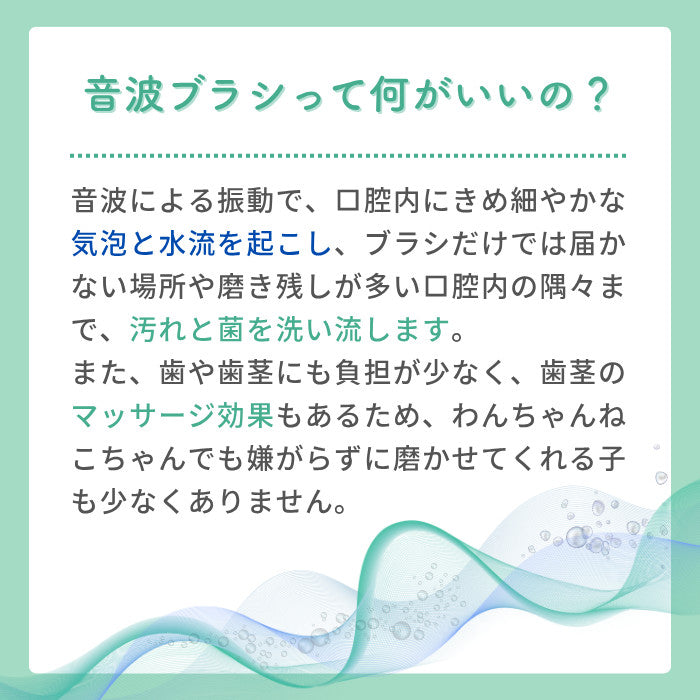 犬猫専用音波歯ブラシBOOOOMプロ