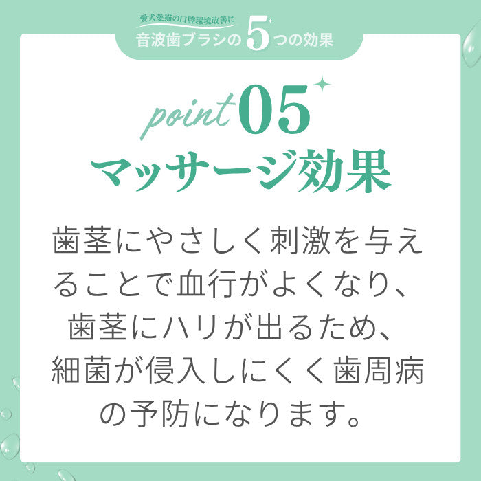 犬猫専用音波歯ブラシBOOOOMプロ