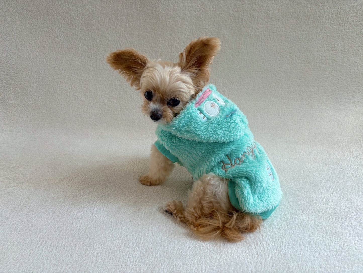 ハンギョドン着ぐるみウェア