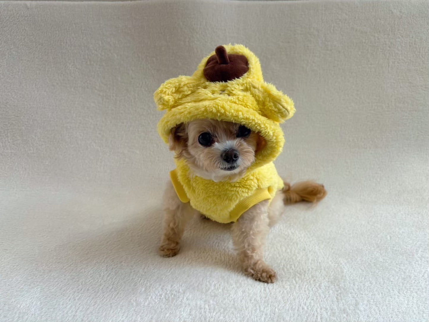 ポムポムプリン着ぐるみウェア