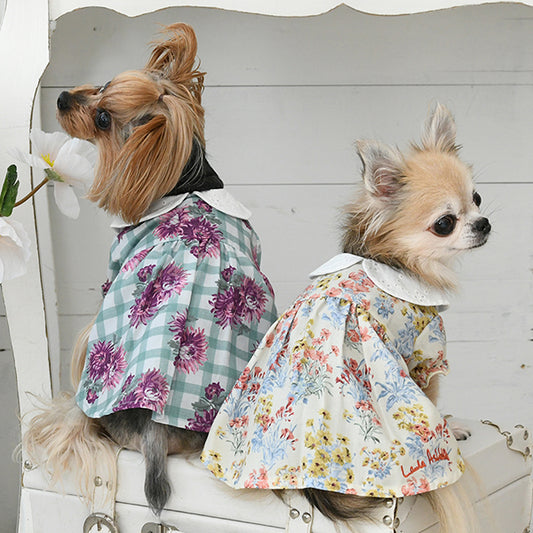 LAURA ASHLEY　コットンレース襟ワンピース