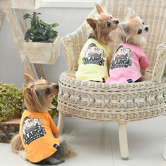 【COOL】【虫よけ】XLARGE　キースネオンTシャツ