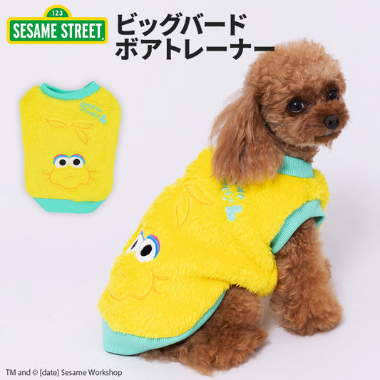 ビッグバード　ボアトレーナー