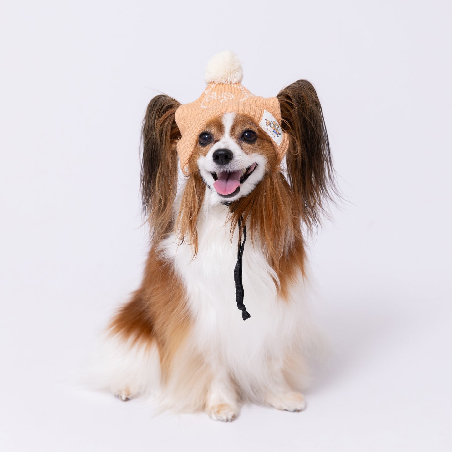 ティム ニット帽