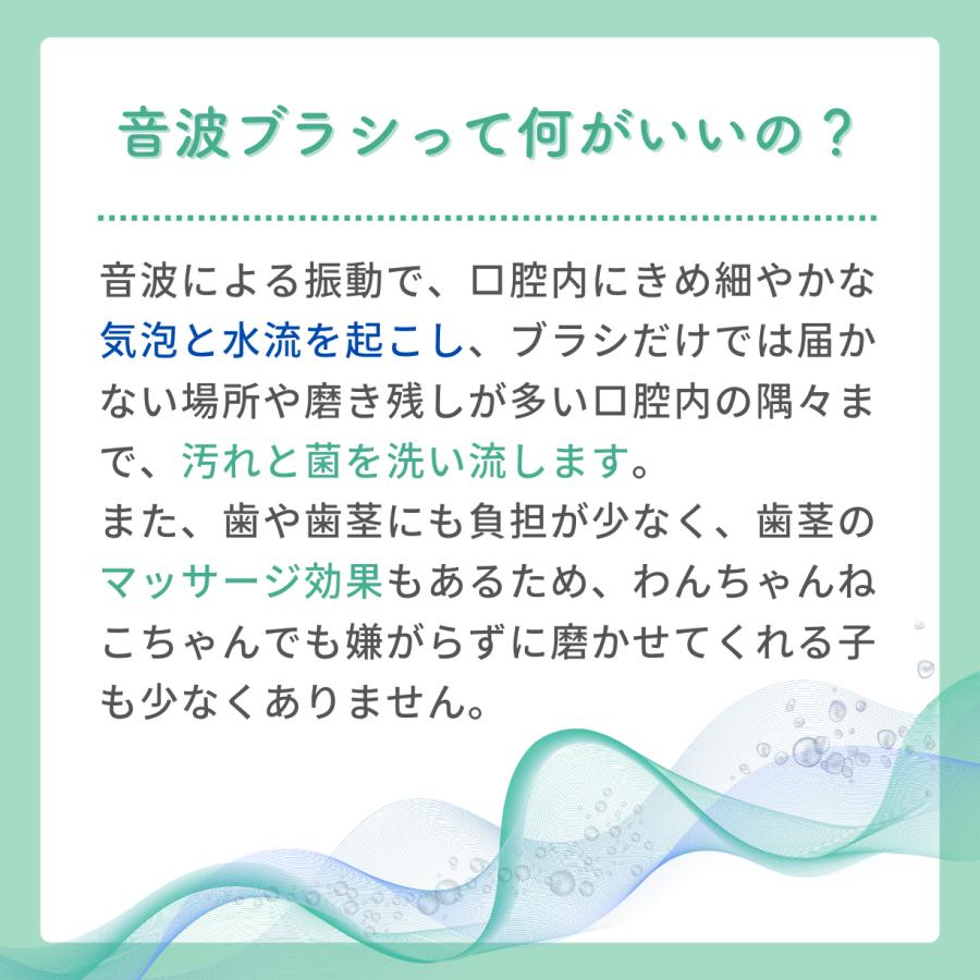 犬猫専用音波歯ブラシBOOOOMプロ　替えブラシ　スモール