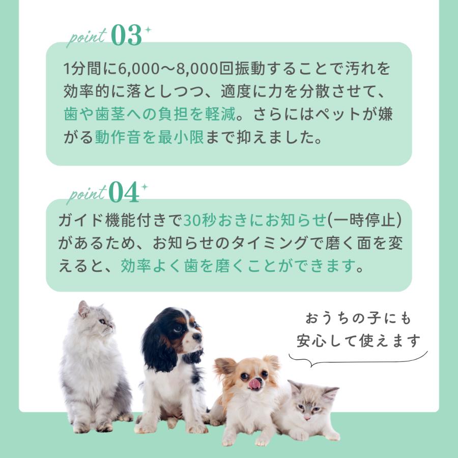 犬猫専用音波歯ブラシBOOOOMプロ　替えブラシ　スモール