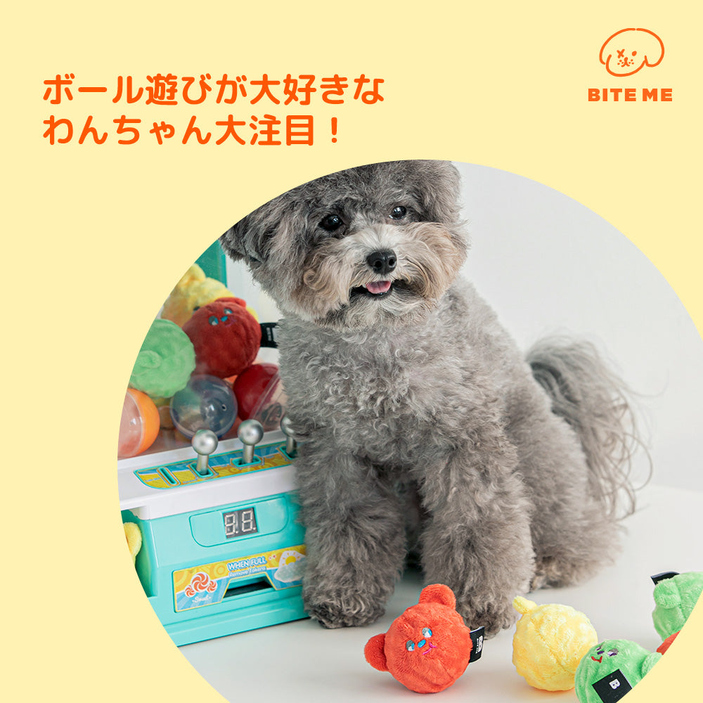 BITE ME　くまキャンディーボールおもちゃ (3個セット)