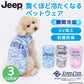 JEEP SUPER COOL