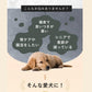 【一般食】【腎臓】SILKFULL　犬用フード　チキン　100g