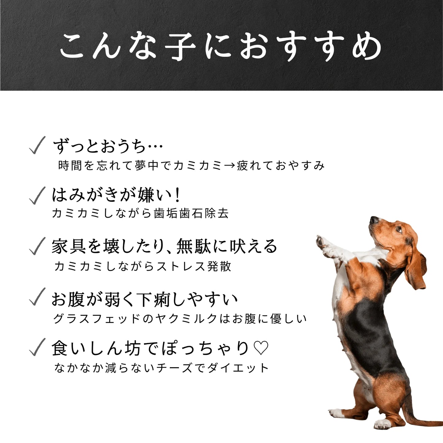 プレミアムヤクミルクチーズM(オリジナルパッケージ)