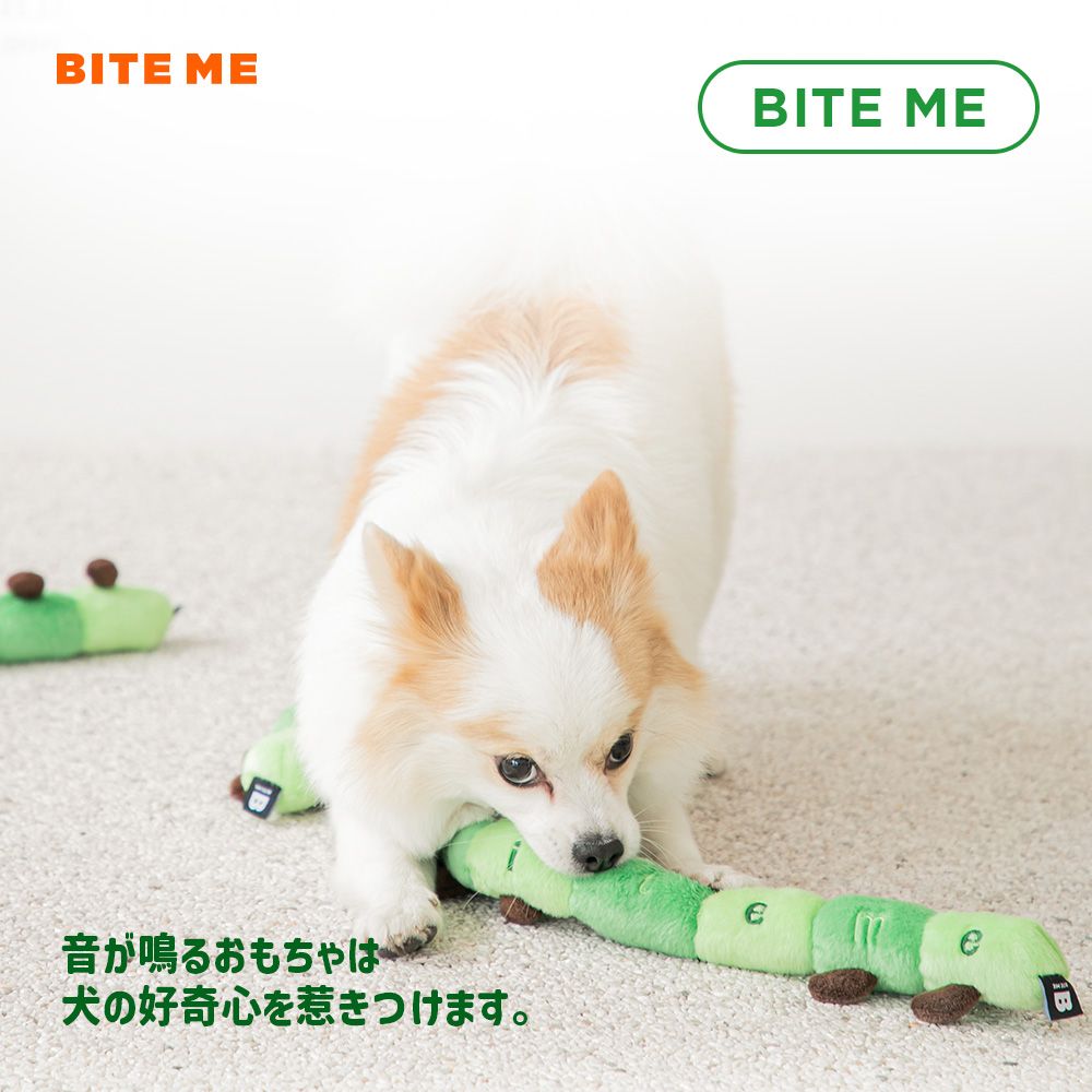 BITE ME　あおむしおもちゃ